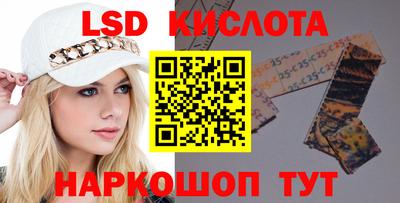 гидра Будённовск