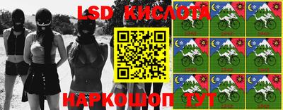 гидра Будённовск