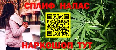 гидра Будённовск