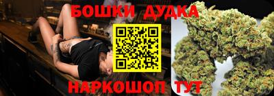 гидра Будённовск