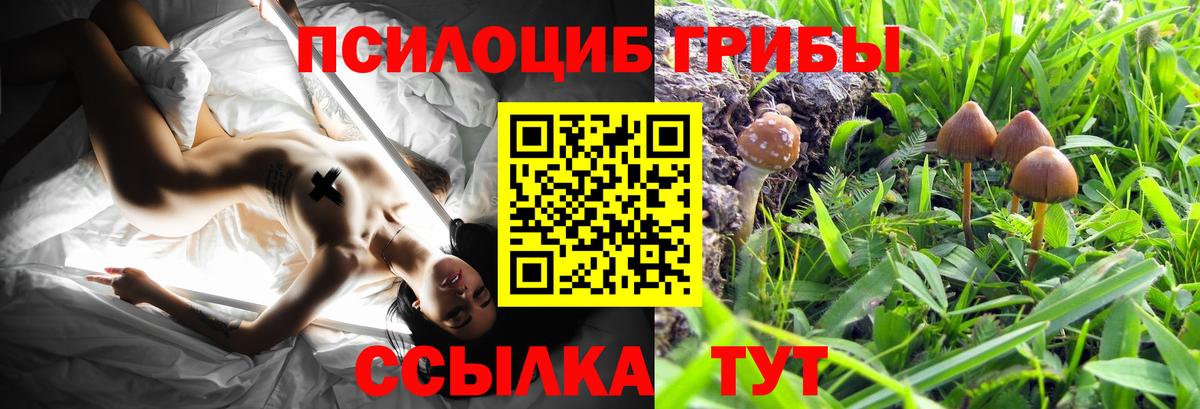купить   Псилоцибиновые грибы мицелий  Вход с VPN  Псилоцибиновые грибы MAGIC MUSHROOMS  Малоярославец 