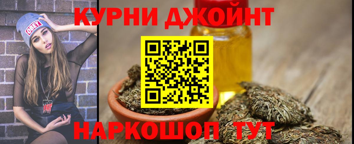 Конопля сатива Малоярославец